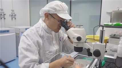 現代牧業(yè)副總裁、技術總工程師張學:如何用科技重新定義行業(yè)