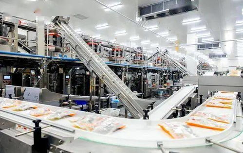嚴防嚴控安全風(fēng)險 河北部署開展冷凍飲品 速凍食品生產(chǎn)企業(yè)專項整治行動