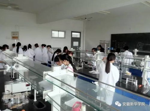 教授帶你逛專業(yè) 之藥學院 工程和技術研究與試驗發(fā)展的融合與前景